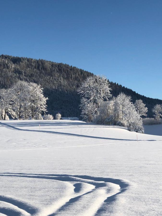 Lindenhof Inzell - Fewo Mit Chiemgaukarte Kültér fotó